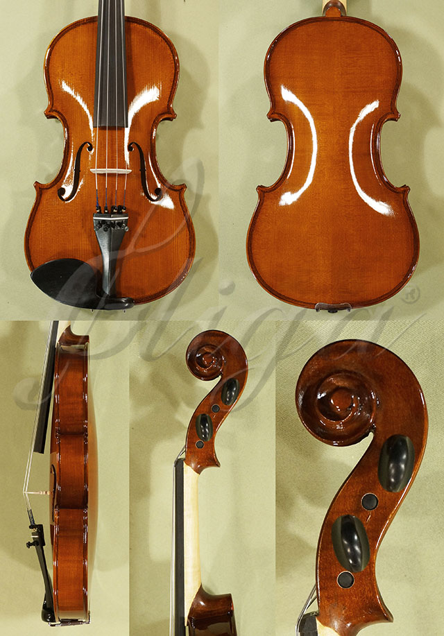 Shiny 4/4 School GENIAL 1-Oil Violin * Code: C7405