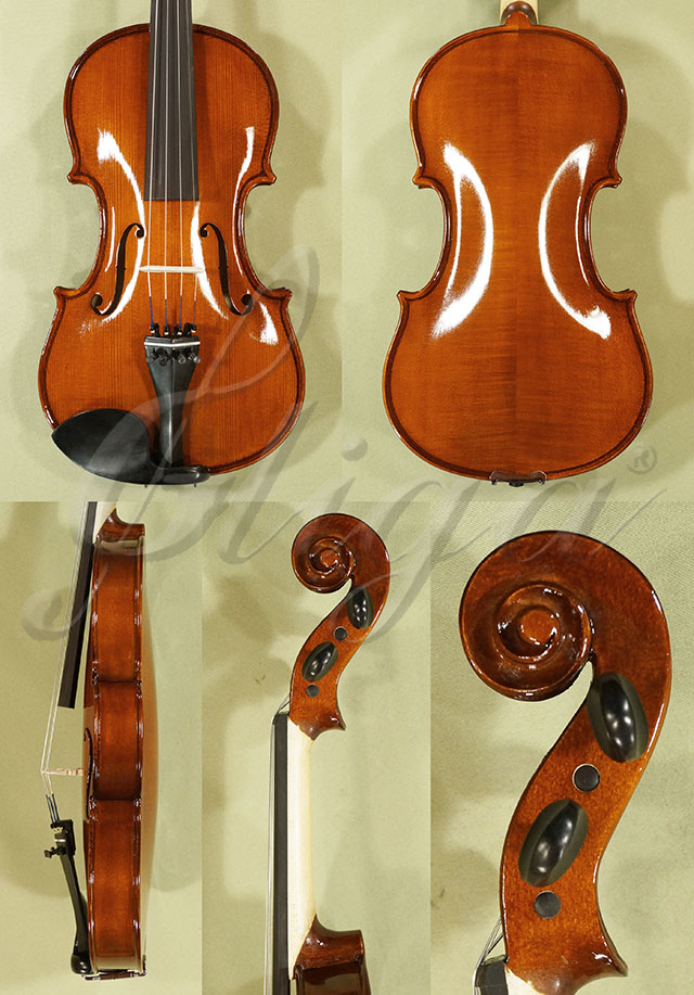 Shiny 4/4 School GENIAL 1-Oil Violin * Code: C7407