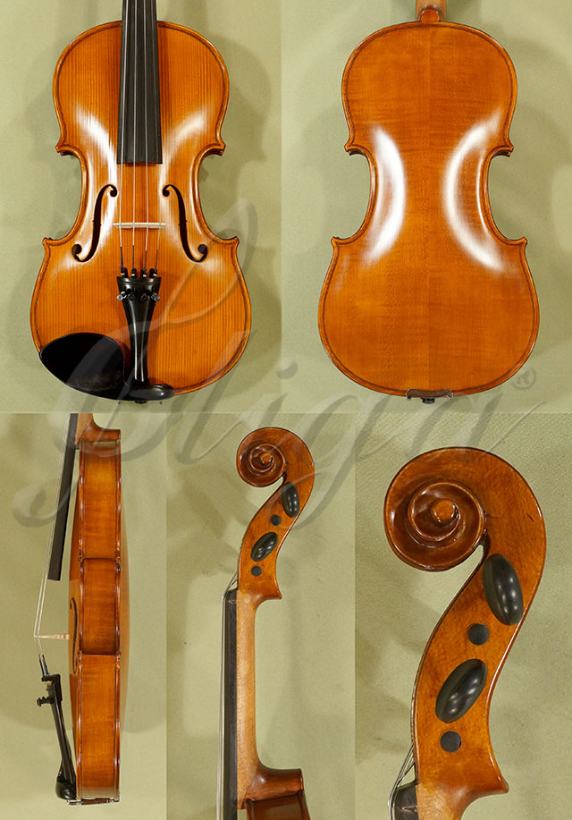 Antiqued 4/4 School GENIAL 1-Oil Violin * Code: C7517