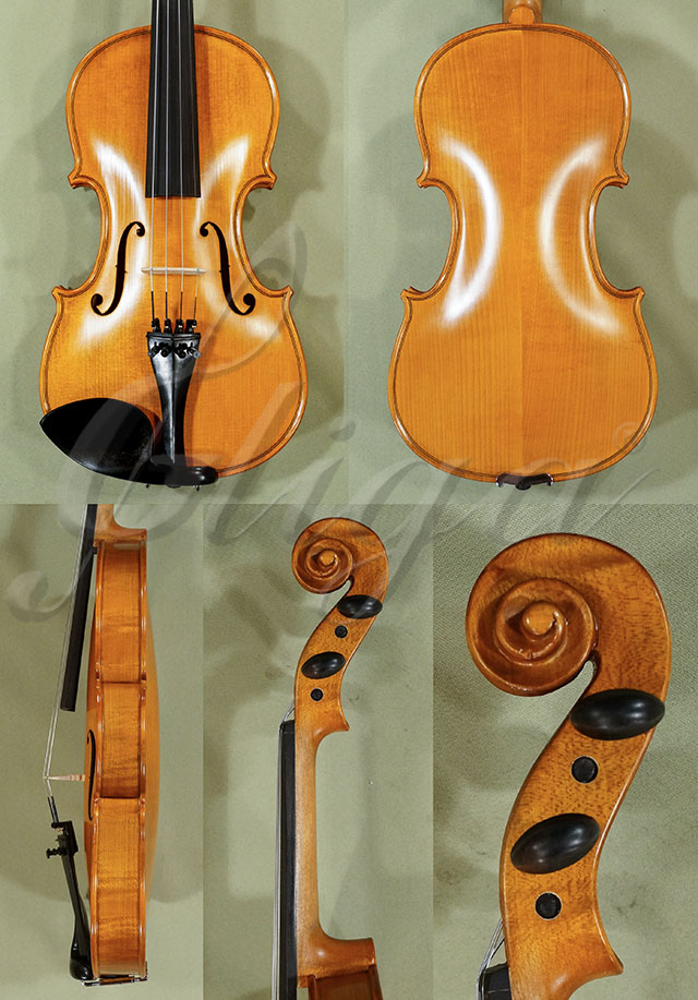 Antiqued 4/4 School GENIAL 1-Oil Violin * Code: C7530