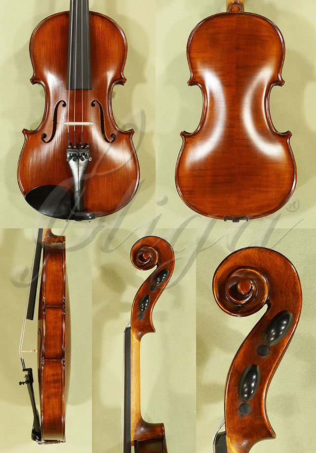 Antiqued 4/4 School GENIAL 1-Oil Violin * Code: C7716