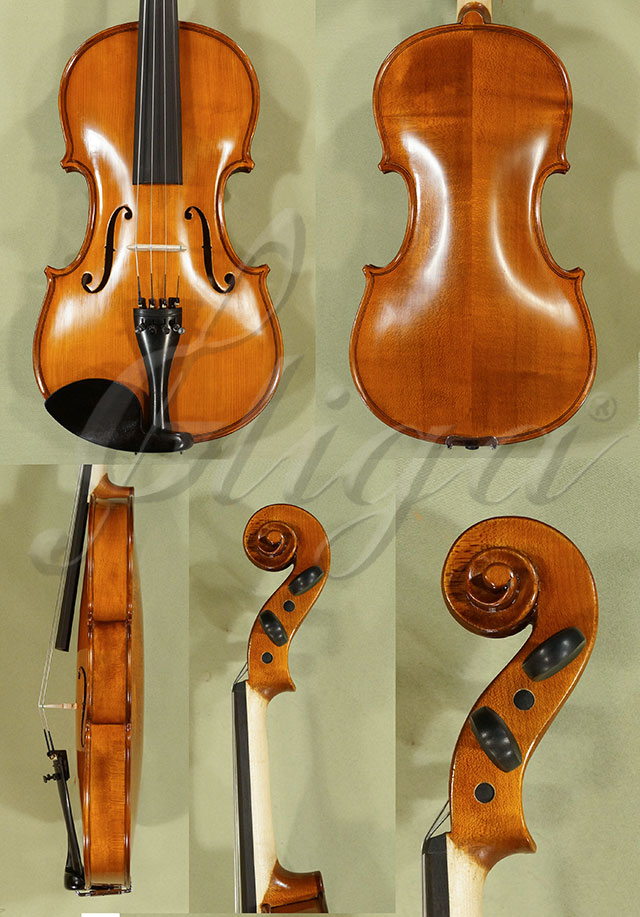 Antiqued 4/4 School GENIAL 1-Oil Violin * Code: C7874