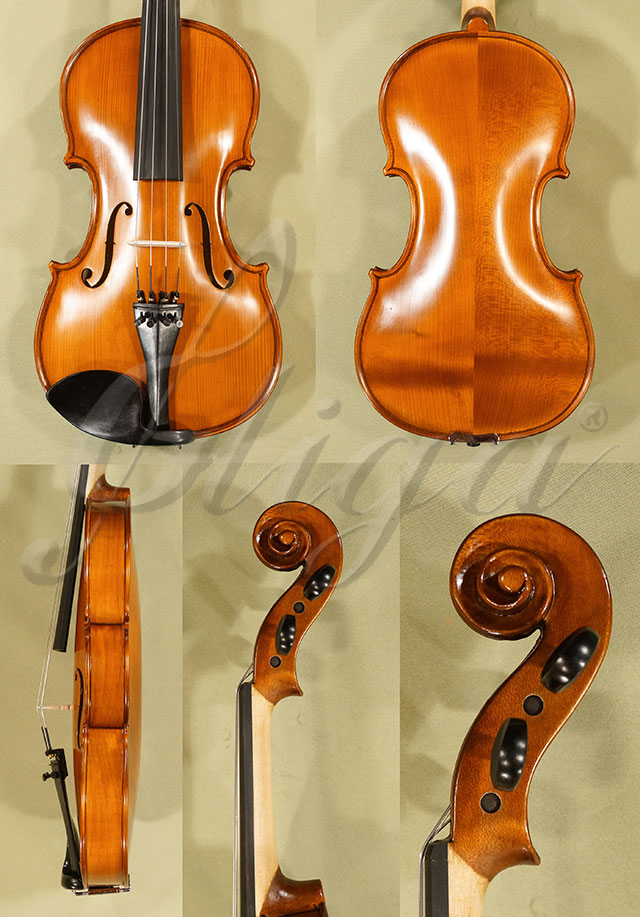 Antiqued 4/4 School GENIAL 1-Oil Violin * Code: C7912