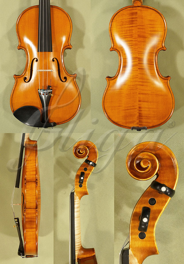 3/4 PROFESSIONAL GAMA Violin  * Code: C7928