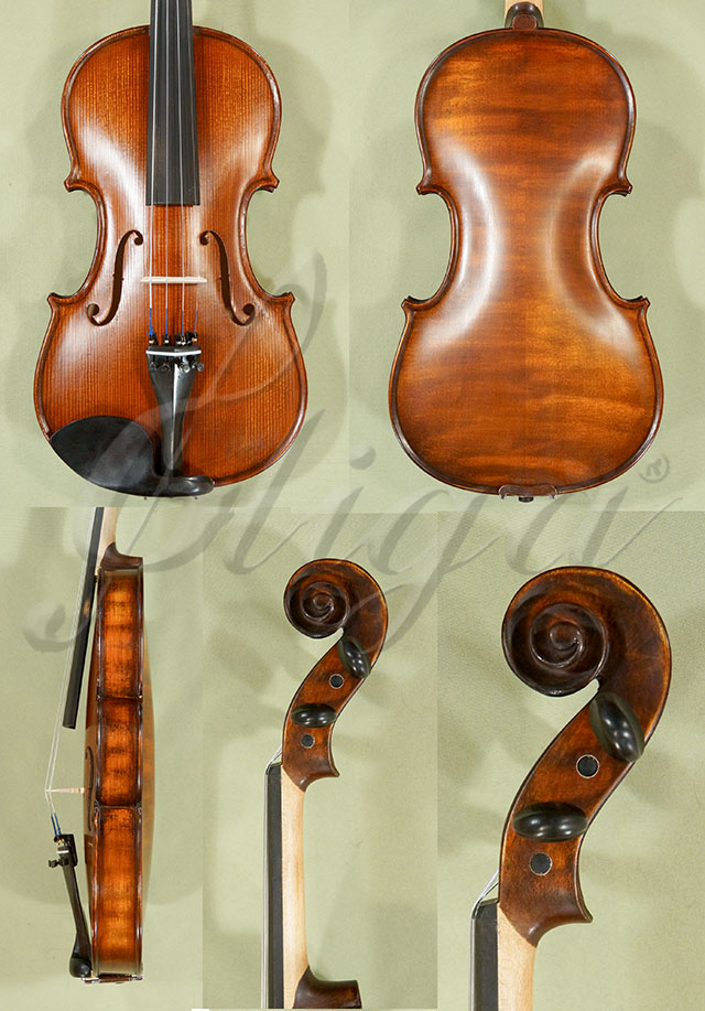 Stained Antiqued 4/4 School GENIAL 1-Oil Violin  * Code: C8156