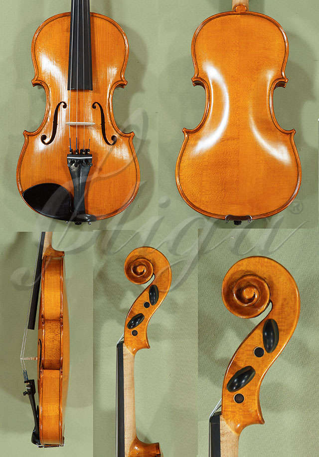 Antiqued 4/4 School GENIAL 1-Oil Violin  * Code: C8364