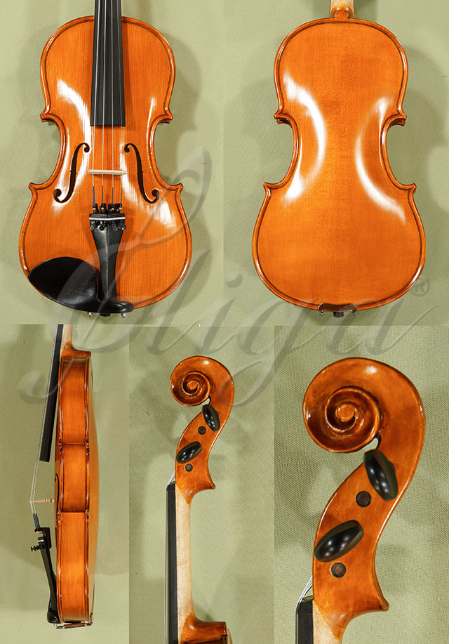 Antiqued 3/4 School GENIAL 1-Oil Violin  * Code: C8378