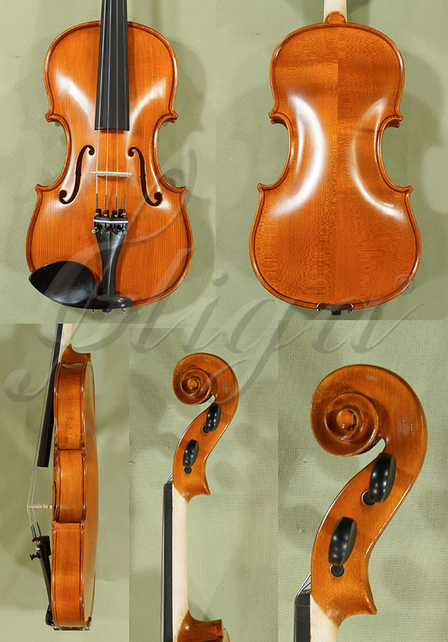 Antiqued 4/4 School GENIAL 1-Oil Violin * Code: C8406