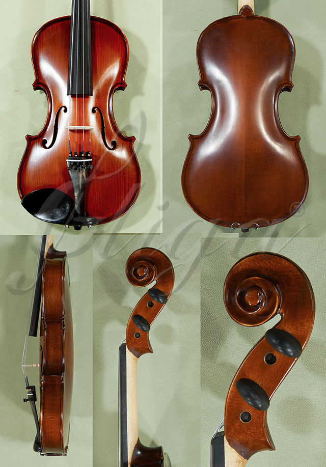 4/4 School GENIAL 1-Oil Violin  * Code: C8416