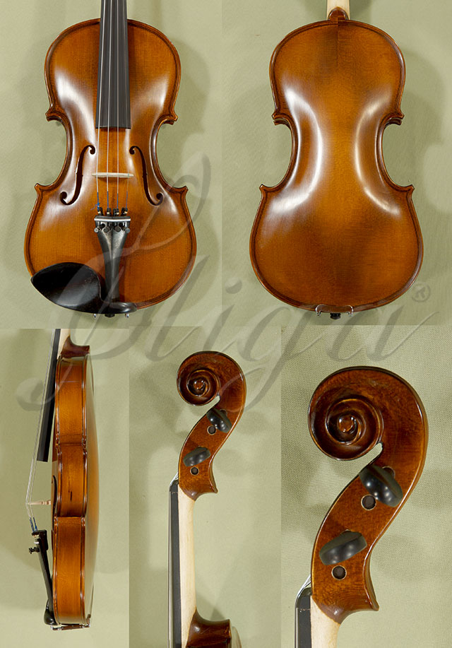 4/4 School GENIAL 1-Oil Violin  * Code: C8419