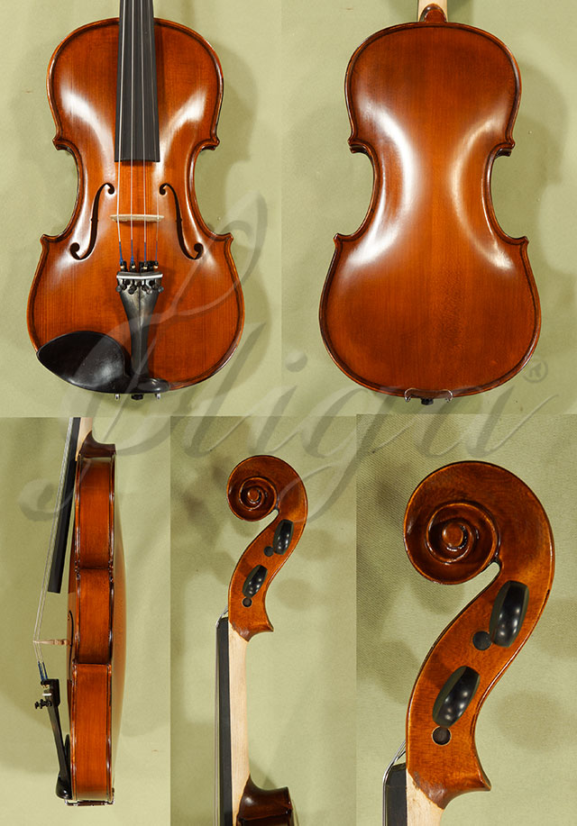 4/4 School GENIAL 1-Oil Violin  * Code: C8421
