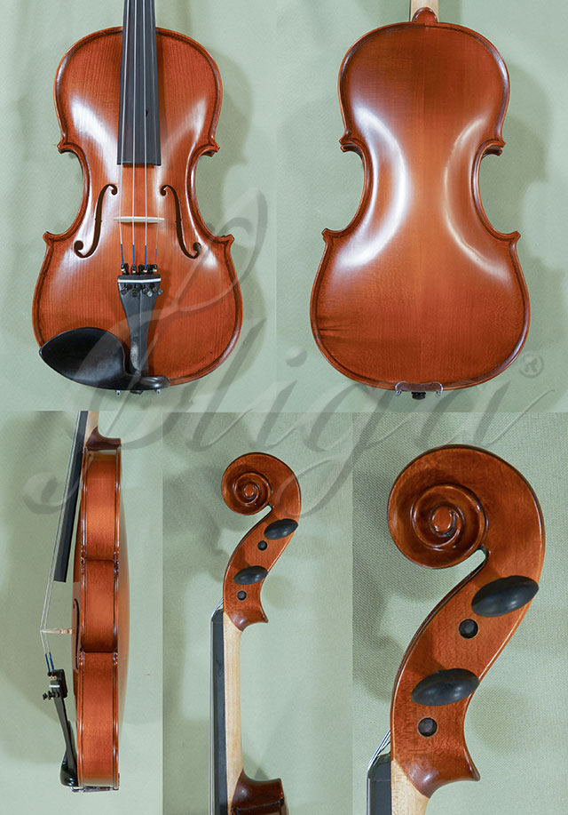 4/4 School GENIAL 1-Oil Violin  * Code: C8423