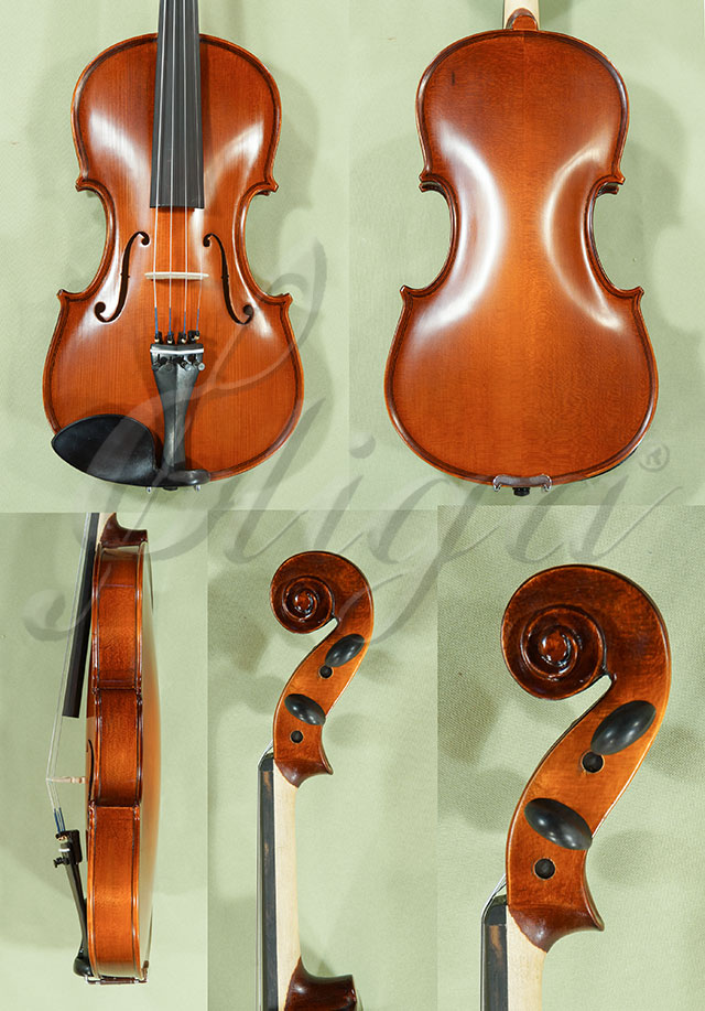 4/4 School GENIAL 1-Oil Violin  * Code: C8425