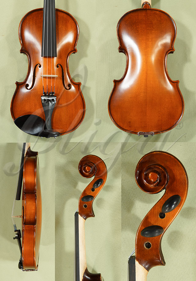 4/4 School GENIAL 1-Oil Violin  * Code: C8429
