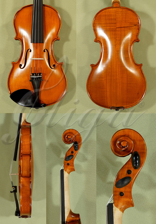 1/2 School GENIAL 1-Oil Violin  * Code: C8465