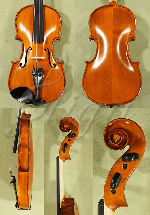 4/4 School GENIAL 1-Oil Violin  * Code: C8526