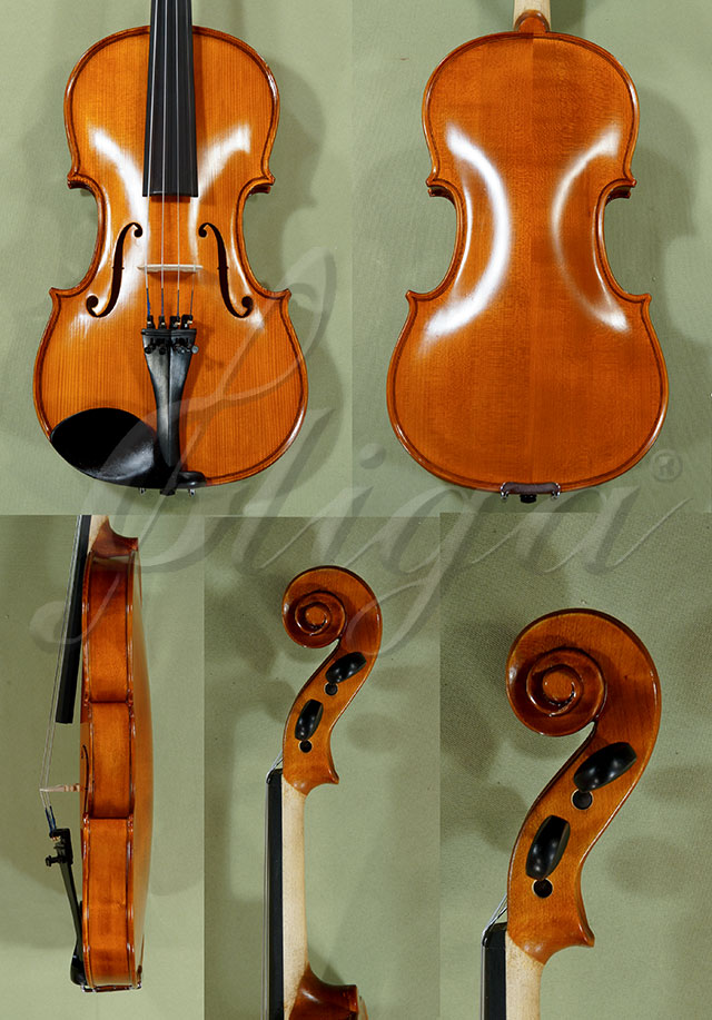 4/4 School GENIAL 1-Oil Violin