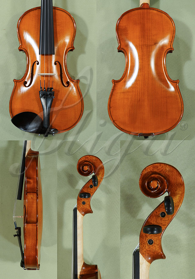 4/4 School GENIAL 1-Oil Violin  * Code: C8529