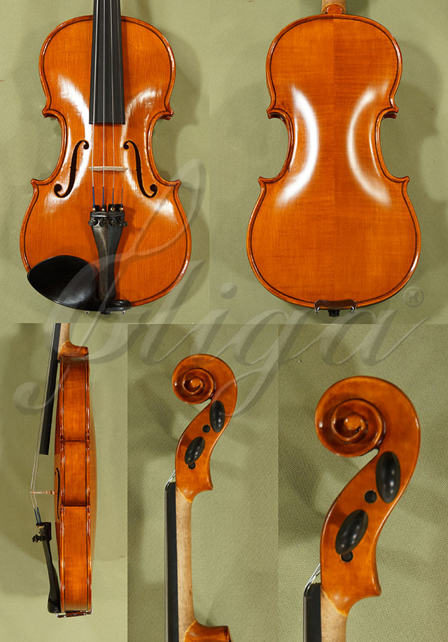 Antiqued 1/2 School GENIAL 1-Oil Violin  * Code: C8535