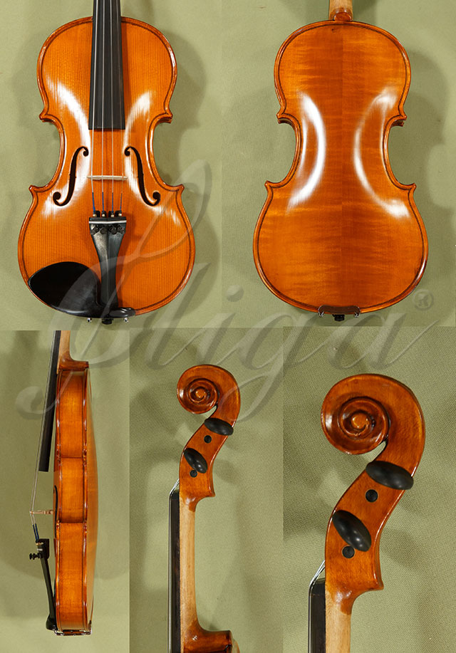 Antiqued 1/2 School GENIAL 1-Oil Violin  * Code: C8537