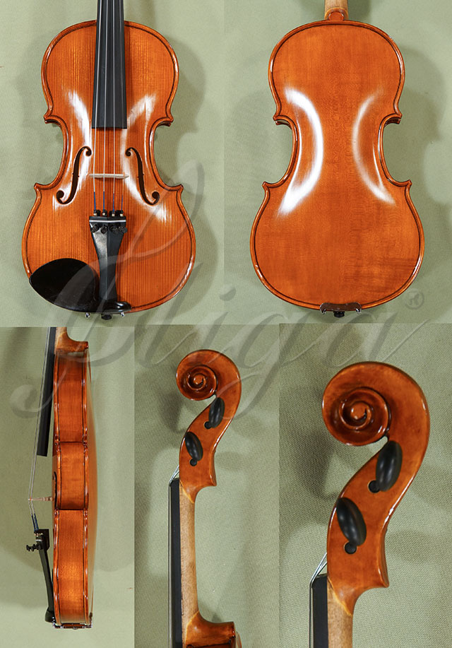 Antiqued 1/2 School GENIAL 1-Oil Violin  * Code: C8540