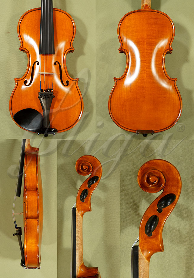 Antiqued 1/2 School GENIAL 1-Oil Violin  * Code: C8541