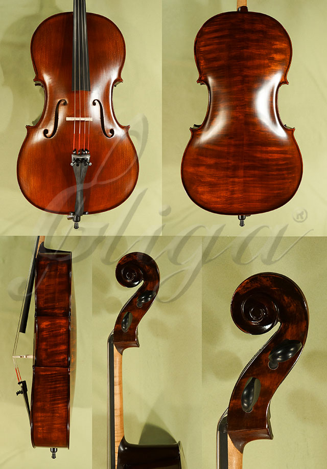 Stained Antiqued 3/4 WORKSHOP 'GEMS 1' Cello * Code: C8562