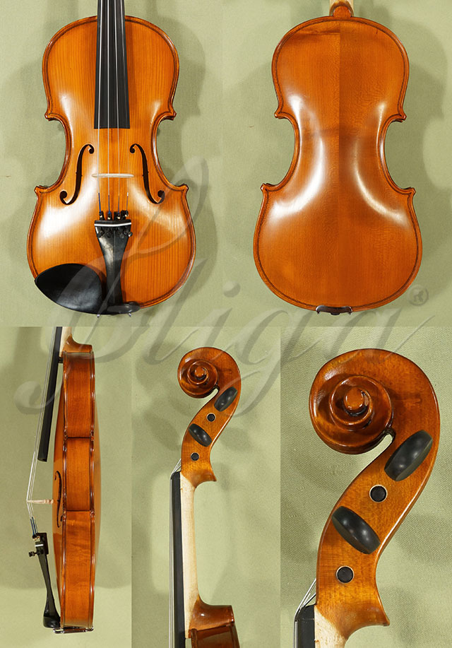 4/4 School GENIAL 1-Oil Violin  * Code: C8565