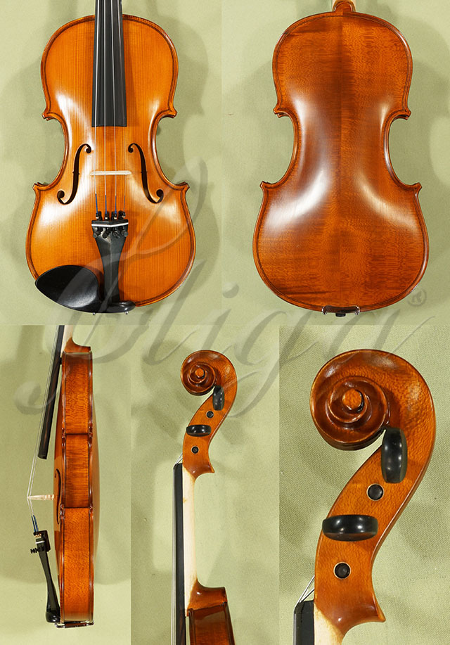 4/4 School GENIAL 1-Oil Violin  * Code: C8566