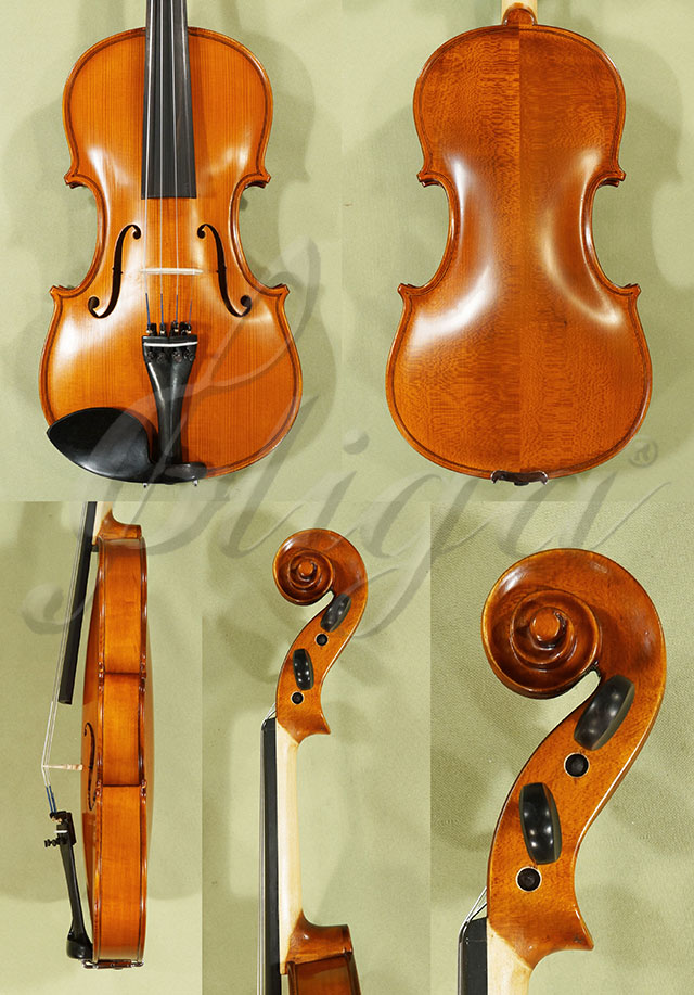 4/4 School GENIAL 1-Oil Violin  * Code: C8573