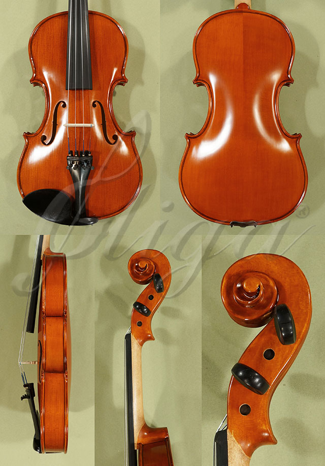 4/4 School GENIAL 1-Oil Violin  * Code: C8629