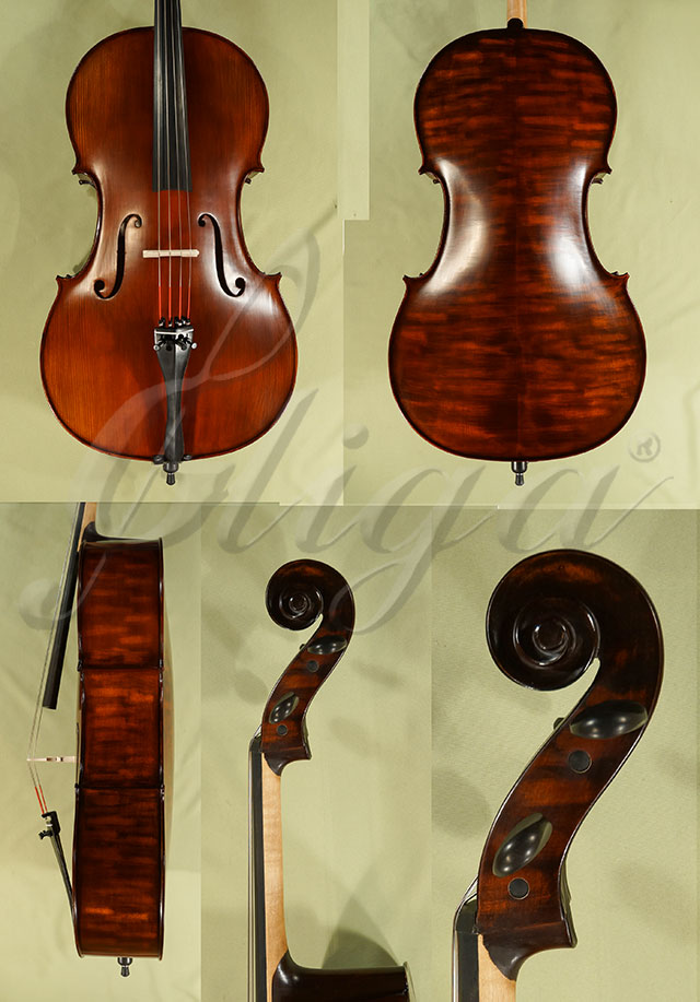 Stained Antiqued 4/4 Student GEMS 2 Cello  * Code: C8671