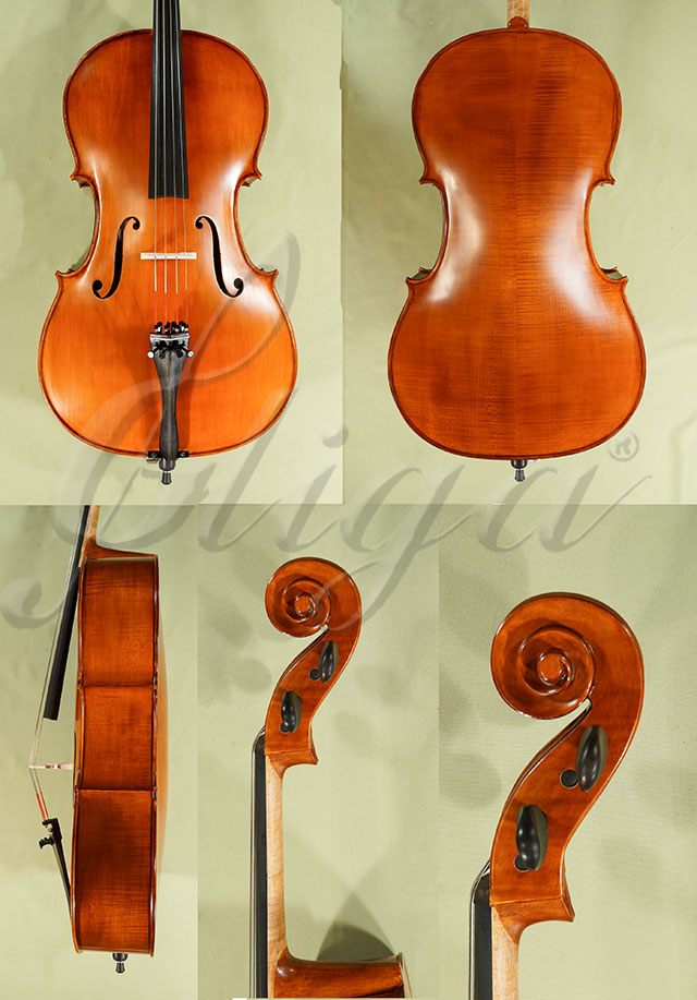 Antiqued 3/4 Student GEMS 2 Cello * Code: C8672