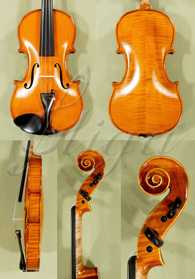 4/4 PROFESSIONAL GAMA Violin * Code: C8700