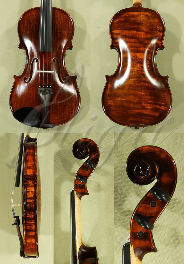 Stained Antiqued 4/4 School GENIAL 1-Oil Violin  * Code: C8716
