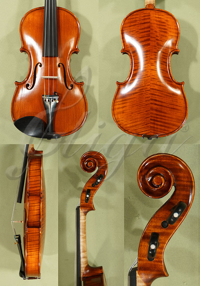 Antiqued 4/4 PROFESSIONAL GAMA Violin  * Code: C8776