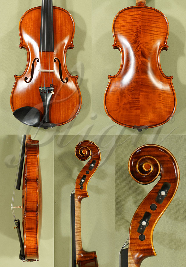 Antiqued 4/4 PROFESSIONAL GAMA Violin  * Code: C8779