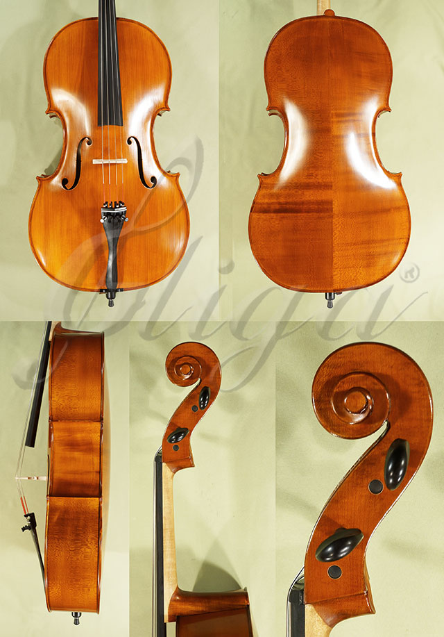 4/4 School GENIAL 1-Oil Cello  * Code: C8813
