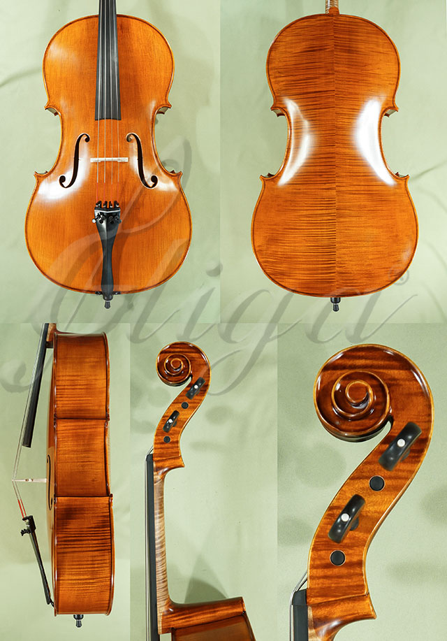 4/4 PROFESSIONAL GAMA Cello  * Code: C8818