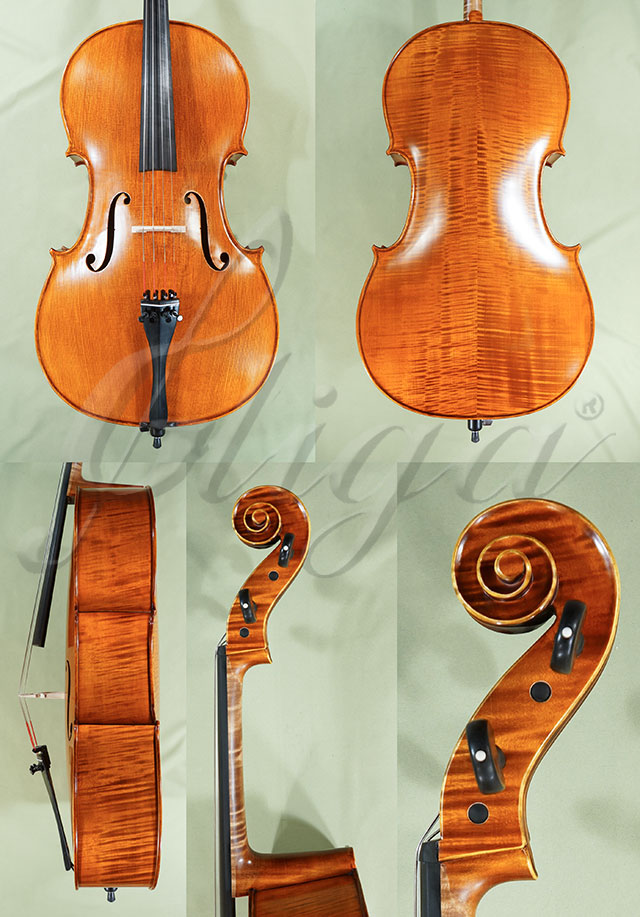 4/4 PROFESSIONAL GAMA Cello  * Code: C8819