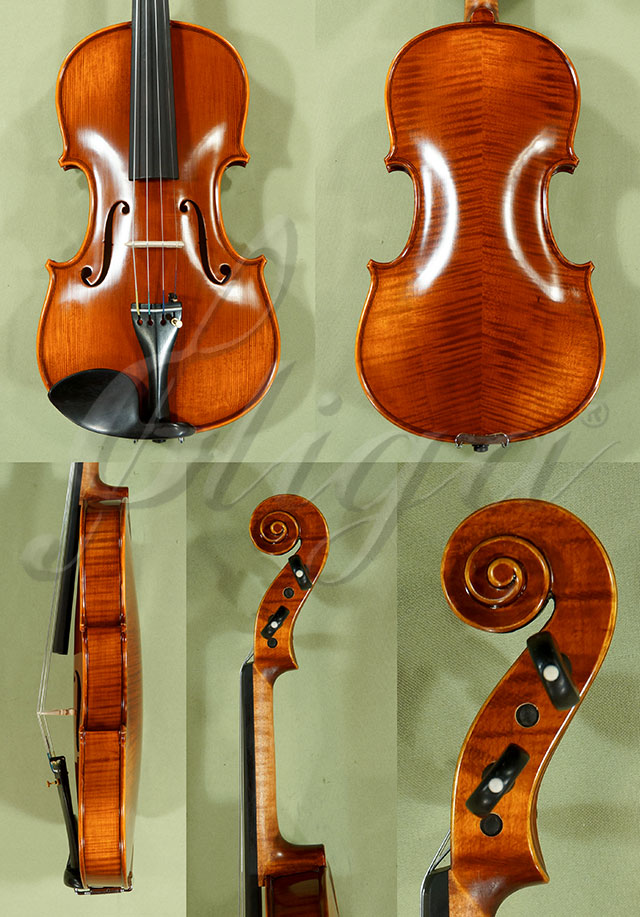 Antiqued 4/4 PROFESSIONAL GAMA Violin  * Code: C8851