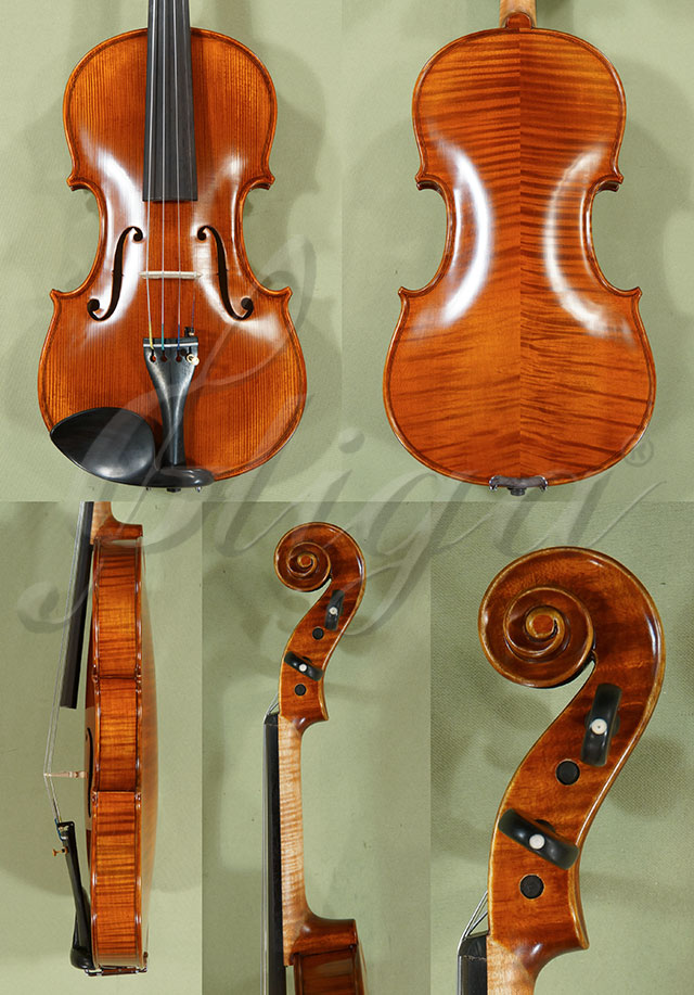4/4 PROFESSIONAL GAMA Violin