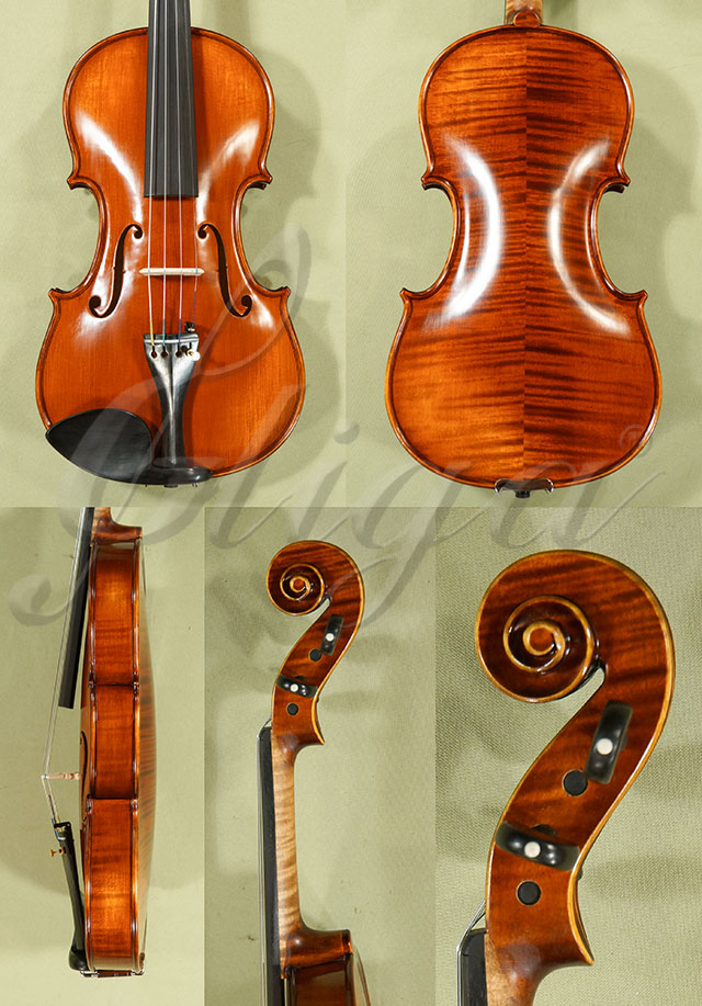 Antiqued 4/4 PROFESSIONAL GAMA Violin  * Code: C8949