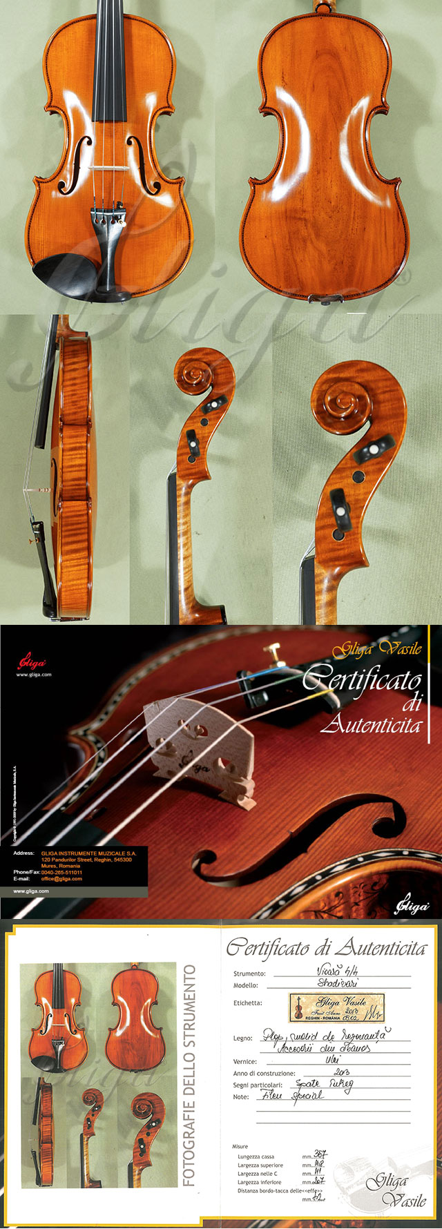 4/4 MAESTRO VASILE GLIGA Special Inlaid Purfling Poplar One Piece Back Violin * Code: C8955
