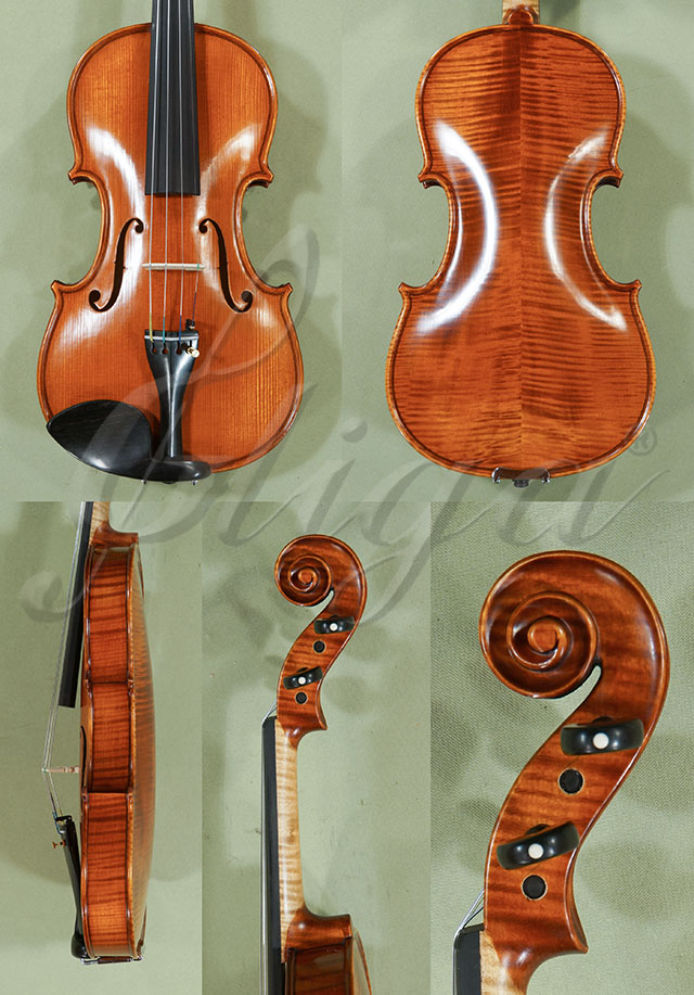 Antiqued 4/4 PROFESSIONAL GAMA Violin * Code: C8969
