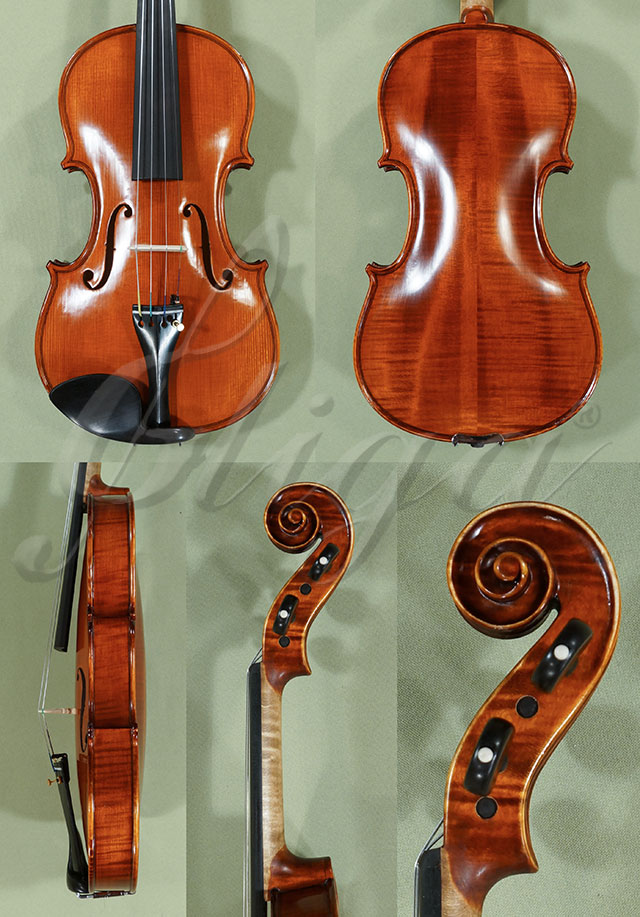 Antiqued 4/4 PROFESSIONAL GAMA Violin  * Code: C8994