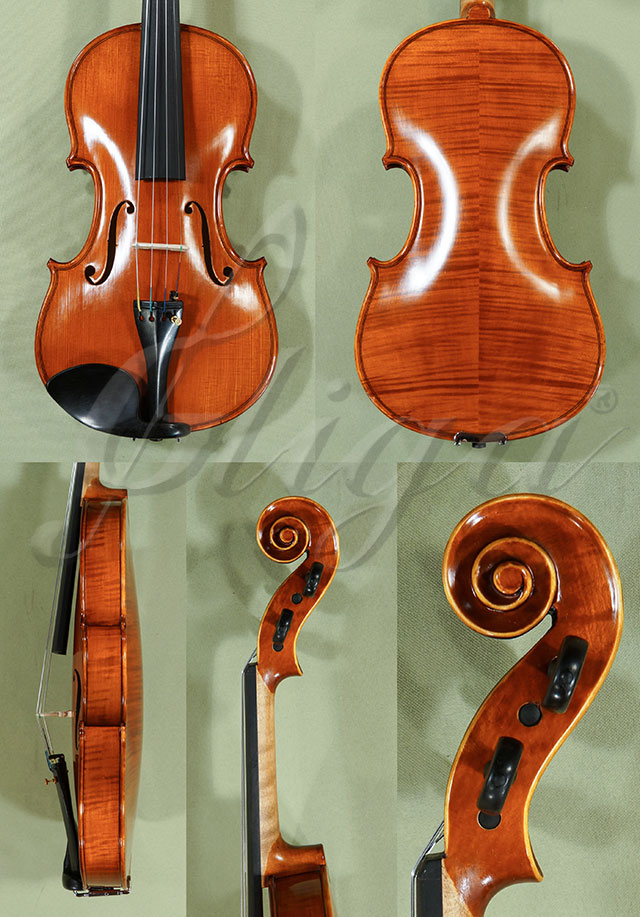 Antiqued 4/4 PROFESSIONAL GAMA Violin  * Code: C9006