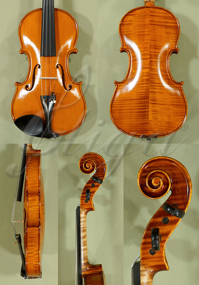 4/4 PROFESSIONAL GAMA Violin  * Code: C9009