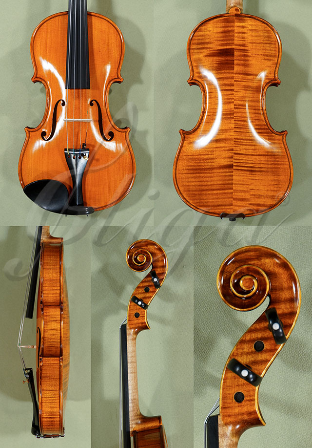 4/4 PROFESSIONAL GAMA Violin  * Code: C9025