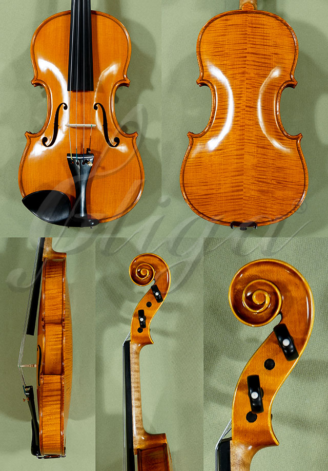 4/4 PROFESSIONAL GAMA Violin  * Code: C9026